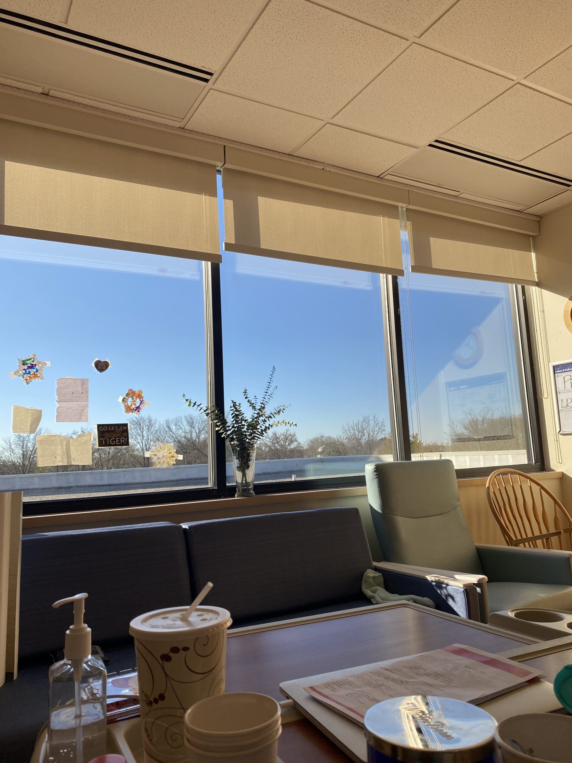 Career coach for women looking out hospital window in early winter